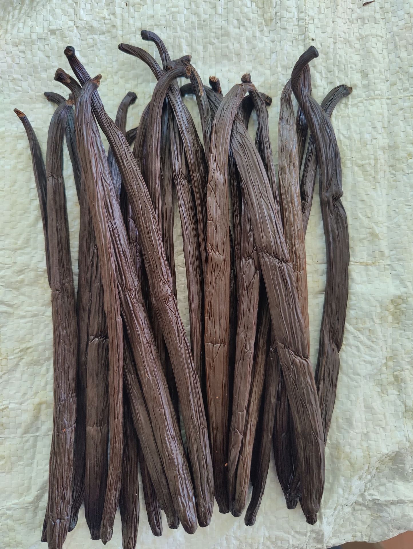 Gourmet Bourbon Vanilla Pods